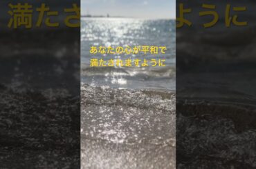 時の流れに身を任せてみるのもありです😌 #癒し #relaxing #波の音 #キラキラ #平和 #海 光