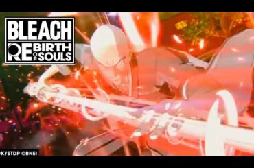 【BLEACH】誰にも言うんじゃねぇぞ (檜山修之、楠大典、福山潤、BLEACH Rebirth of Souls)