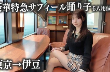 【東京→伊豆】豪華特急サフィール踊り子の6人用個室に初乗車、これはさすがに...