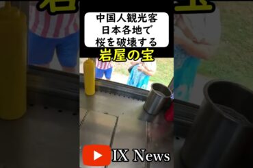 中国人観光客が桜の木を... #岩屋は責任をとれ