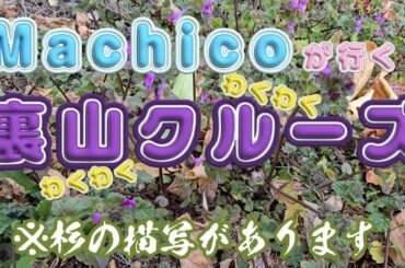 【※視点酔い注意】裏山クルーズ【Machico】