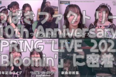 つばきファクトリー 10th Anniversary SPRING LIVE 2025 「Bloomin'」に密着！