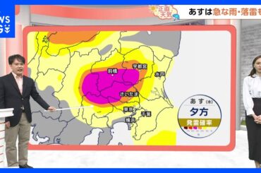 【4月3日 関東の天気】急変注意 ザーッと雷雨か｜TBS NEWS DIG