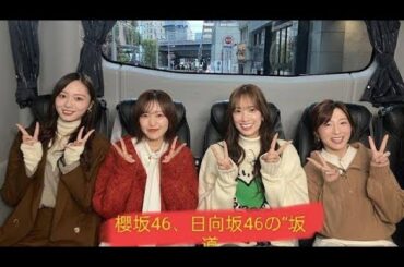 🔥＜日テレ市來玲奈アナ＞🎌初の番組プロデュース　古巣・乃木坂46、#櫻坂46、日向坂46の“坂道グループ”の魅力伝える#news