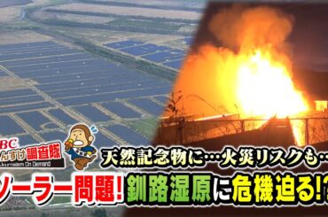 【再エネ割賦金 増額】釧路湿原に危機迫る！ソーラーパネル が急増！希少生物 への影響、住民との軋轢、火災リスク…湿原の今に迫る！・・・もんすけ調査隊（今日ドキッ！2025年4月4日放送)