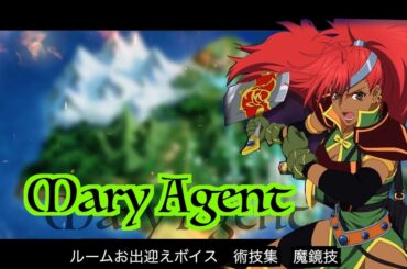 マリー・エージェント　ルームお出迎え集　術技集　魔鏡技『テイルズオブザレイズ』