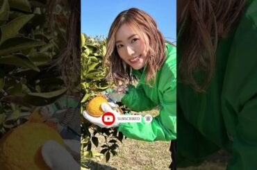 松井珠理奈、両親が離婚した衝撃の理由！千鳥・ノブも驚愕！ #youtubeshort #shorts