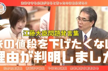 【江藤拓農林水産大臣】お米の値段を下げたくない驚きの理由が判明しました!!【国会中継切り抜き】#江藤大臣 #国会中継切り抜き #米高騰 #備蓄米 #食糧法 #江藤拓 #やはた愛 #松野明美 #米高い