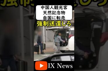中国人観光客、天然記念物を中国へ密輸 #岩屋は責任をとれ