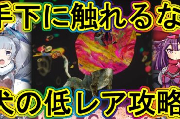 まどドラ：低レア犬の魔女攻略！(手下に)触れるな危険！～エクセドラ12～