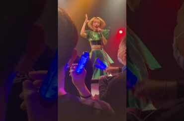 イチコロ所ではないくらいメロメロにしてくれるアイドル #豆柴の大群 #クロちゃん #水曜日のダウンタウン #ハナエモンスター