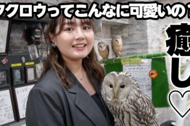 【フクロウカフェ🦉】人生初フクロウさんと超接近！癒されすぎてヤバかった…
