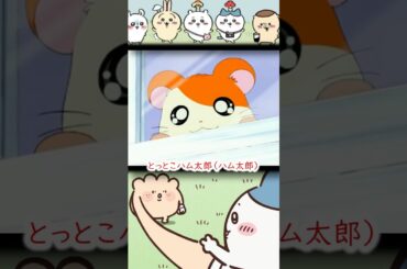 【ハム太郎】ハチワレの敵役ジャンケン君として出た声優が豪華すぎた【ちいかわ】【作品声比較】#ちいかわしょーと #ちいかわ #ハチワレ #うさぎ #声優 #アニメ