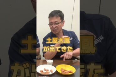 土屋太鳳はどこだ！？利きソーセージに挑戦！ #shorts