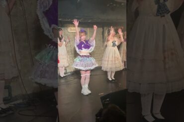 【ガチ恋危険注意報】あーりんとらっこがサビ部分を踊ってみた　#ポジティブモンスター #ひまわりが咲く頃に #星乃愛璃咲 #高良ことせ #dance #次に流行る曲 #shorts