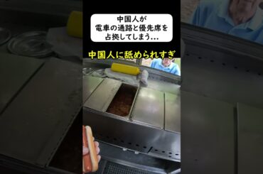 中国人観光客が電車を占拠してしまう... (転売ヤー) #岩屋は責任をとれ