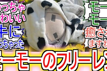 『モーモーのフリーレン』についての反応【葬送のフリーレン】【フリーレン】【週刊少年サンデー】【少年サンデー】