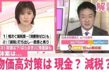 【解説】各党から提案続々...「現金給付」か「減税」か、具体案は  物価高対策で国の借金増に？