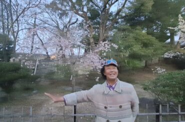 昭和のポップス歌謡の名曲は倉田まり子の『愛の蜃気楼』を歌う❗#昭和歌謡 #昭和ポップス歌謡 #70年代アイドル #80年代歌謡曲 #倉田まり子 #懐メロ #想い出のメロディー #ラブソング #アカペラ