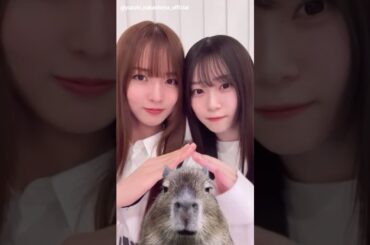 中嶋優月 山下瞳月 お月様とカピバラ♪Instagram