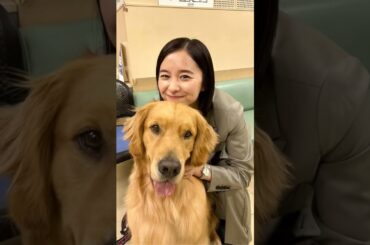 堀田真由ちゃんは天使です。#堀田真由#長濱ねる#若草物語#御上先生#今田美桜#TikTok#shorts