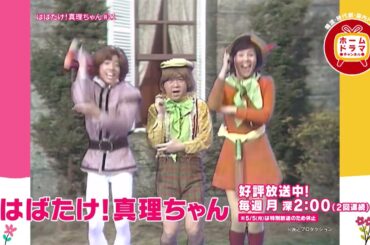 【5月】〈連続企画〉天地真理特集「真理ちゃんシリーズ」