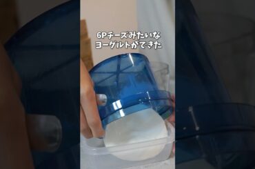 【てんちむオススメ】水切りヨーグルトメーカー買ってみた #shorts #tokyo #japan #休日 #買ってみた