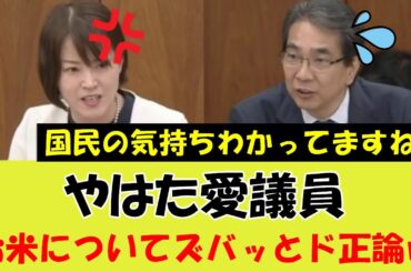 【衝撃】やはた愛議員が事務所に寄せられるコメの苦情を伝える！#山本太郎 #備蓄米 #江藤農水大臣 #切り抜き動画 #切り抜き #政治 #国会質問 #日本