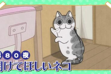 アニメ『夜は猫といっしょ』第80夜「開けてほしいネコ」