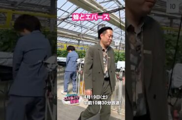 蜂とエバース【4月19日(土)午前10時30分放送】気ままにGO!こんな旅どう？常磐道～みやぎ・ふくしま 春のGW特集～ #エバース #アルピー #中川絵美里 #ミヤテレ