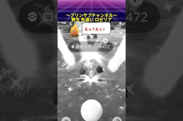 🎁色違い✨ 野良 ロゼリア ポケモンgo with 茅原実里 / Paradise Lost #ロゼリア #pokemongo #茅原実里 #paradiselost