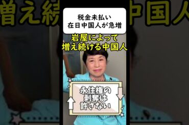 在日中国人による税金未払いと生活保護が急増中 #岩屋は責任をとれ