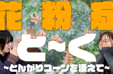 【花粉症】ついにこの時期が来てしまった…ゆきめぐの花粉症対策トーク!!【ゆきめぐTV】
