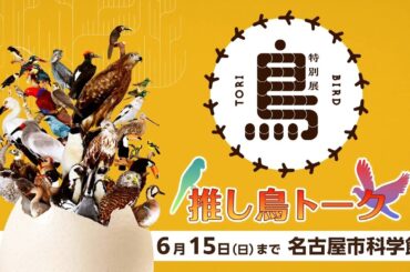 学芸員と高柳明音が推し鳥トーク！　一生分の鳥が見られる？！特別展「鳥」＠名古屋市科学館  6/15(日)まで