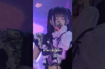 シュレーディンガーの犬『ADDICTED BUG』｜1st Asia Tour 2024『REBOOT』in TAIWAN