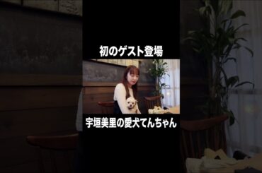 初のゲスト登場 愛犬てんちゃん【宇垣美里YouTube】 #宇垣美里 #アナウンサー #犬
