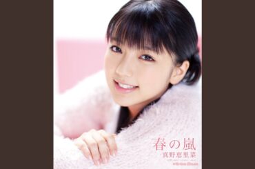 春の嵐 (Instrumental)