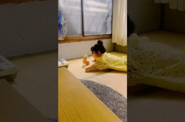 和気藹々とした撮影現場🌸 #ポートレイトラヴソング #musicvideo #citypop #japanesecitypop #寺嶋由芙 #邦楽　@yufu_0708