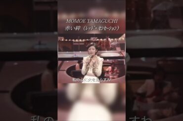 山口百恵　伝説から神話になった歌姫！② #shorts #昭和歌謡