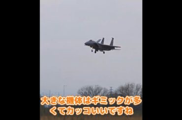 着陸するF-15C イーグル #ラジコン飛行機