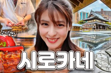 [SUB] 도쿄에서도 손꼽히는 부촌, 시로카네  | 플래티넘 돈키호테, 즈이쇼지, 인생 장어덮밥, 미나토구립 향토 역사관