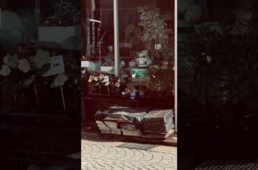 「波瑠が来た」