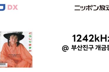 [명채일보] [MW DX] ニッポン放送 JOLF 東京 1242kHz 🎵原田知世 - どうしてますか@부산진구 개금동 (2025(107/4358).04.17)