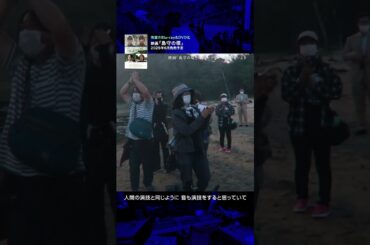 映画「島守の塔」　待望のBlu-ray&DVD化！　30秒CM「MAなら、アクエリアム」　映画監督 五十嵐匠さんご出演 　#映画 #MA #島守の塔 #戦争 #沖縄 #平和 #DVD #映画監督