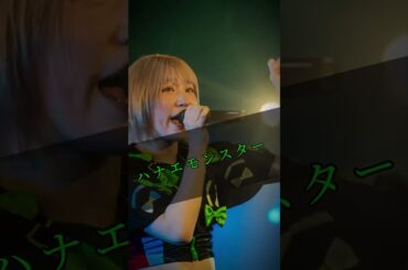 豆柴の大群メンバー紹介　#豆柴の大群 #レオナエンパイア #モモチ・ンゲール#アイカ・ザ・スパイ#ナオ・オブ・ナオ#ハナエモンスター