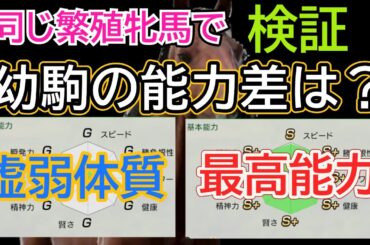 【ウイポ10 2024】繁殖牝馬の能力で生れてくる幼駒に違いはあるのか!?〖サブパラ検証〗初心者でもわかる！＃ウイニングポスト10