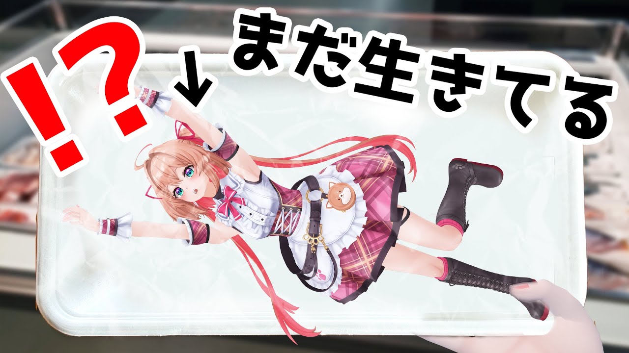 買ってきた瀕死のVTuberを水中に入れると・・・【#あんこ配信中 / RIOTMUSIC】 買ってきた瀕死のVTuberを水中に入れると・・・【#あんこ配信中 / RIOTMUSIC】