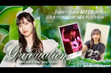 ハロコレ 植村あかり