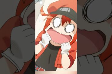 はたらく細胞、監督：鈴木健一、主演：花泽香菜 、前野智昭、小野大辅、井上喜久子  #アニメ #shorts #anime #shonen #sitcom #comedy