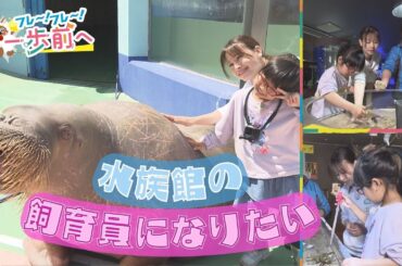 水族館が大好き、飼育員になりたい5歳の女の子が特別体験　でっかいセイウチを前に…!?【フレ～！フレ～！一歩前へ】